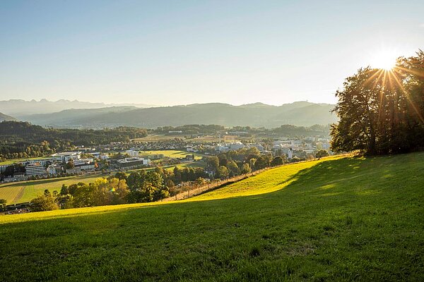 Muri bei Bern