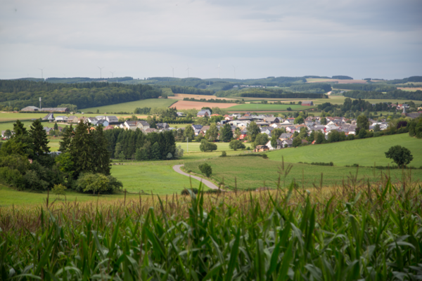 Mertzig