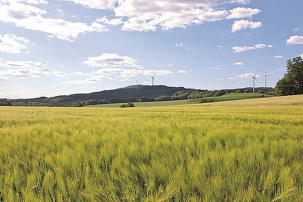 Kreis Lippe