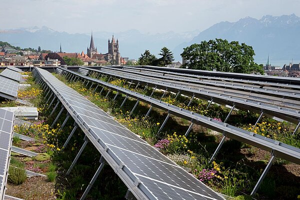 Lausanne