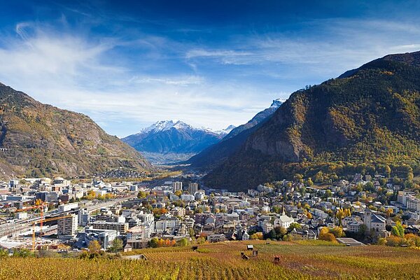 Visp